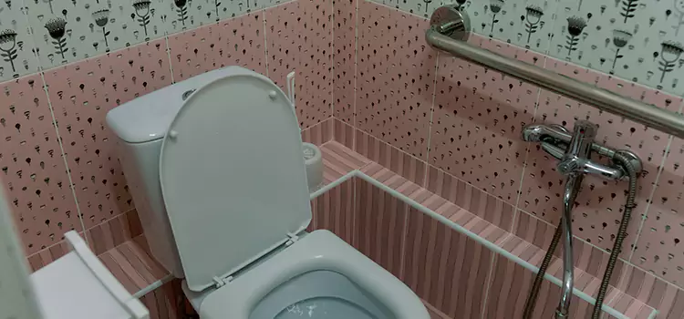 Meeting Diverse Needs With Accessible Restroom Solutions in Vineyard, CA